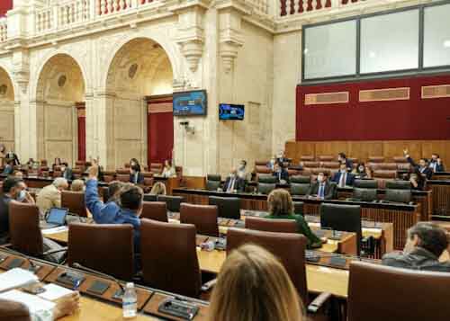  Imagen del Pleno durante la votacin de la proposicin de ley 