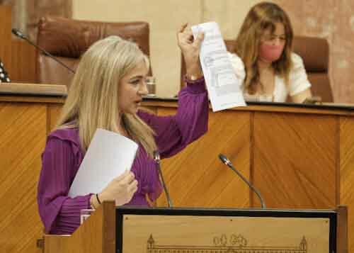   Patricia del Pozo, consejera de Cultura y Patrimonio Histrico, informa en pleno sobre las medidas para ayudar al sector cultural
