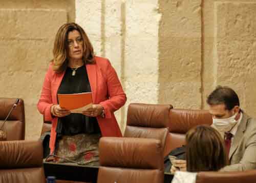 La diputada Mara Mar Hormigo, de Ciudadanos, formula una pregunta relativa a ayudas a entidades de menos de 1500 habitantes