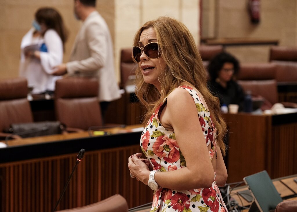  La diputada del Grupo Ciudadanos Mercedes Lpez formula una pregunta ante el Pleno  