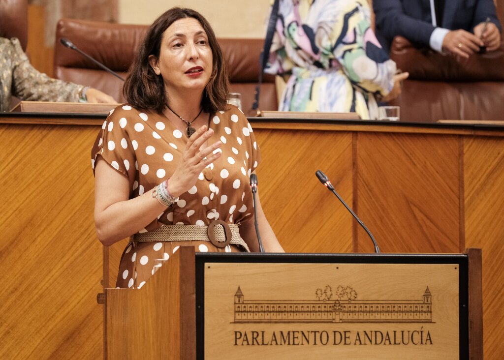 Mara Dolores Lpez, presidenta del Grupo Popular, expone la PNLP relativa a reclamacin al Gobierno de Espaa de medidas para el mantenimiento del empleo y la proteccin de las personas trabajadoras

 