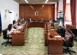   La Junta de Portavoces ha aprobado en su reunin de hoy el orden del da de la prxima sesin plenaria