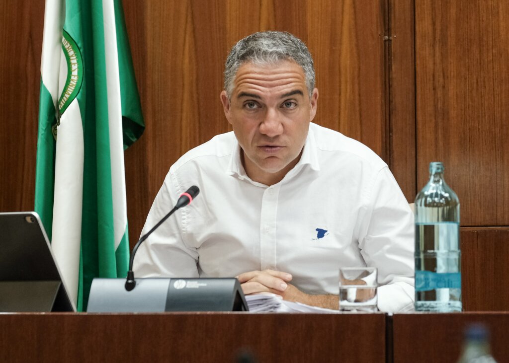   Elas Bendodo, consejero de la Presidencia, Administracin Pblica e Interior, durante su comparecencia