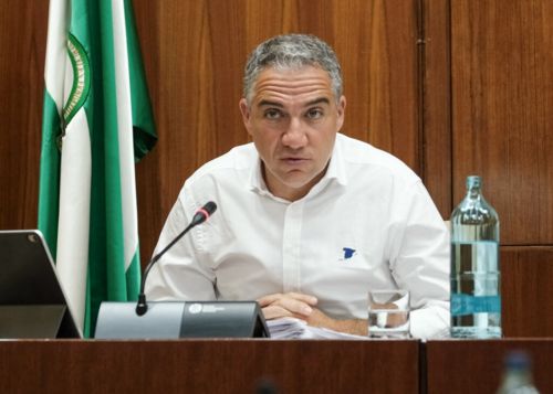   Elas Bendodo, consejero de la Presidencia, Administracin Pblica e Interior, durante su comparecencia