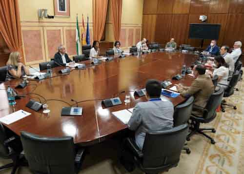  La presidenta del Parlamento de Andaluca, Marta Bosquet, mantiene una reunin con representantes de los colectivos del tercer sector de Andaluca