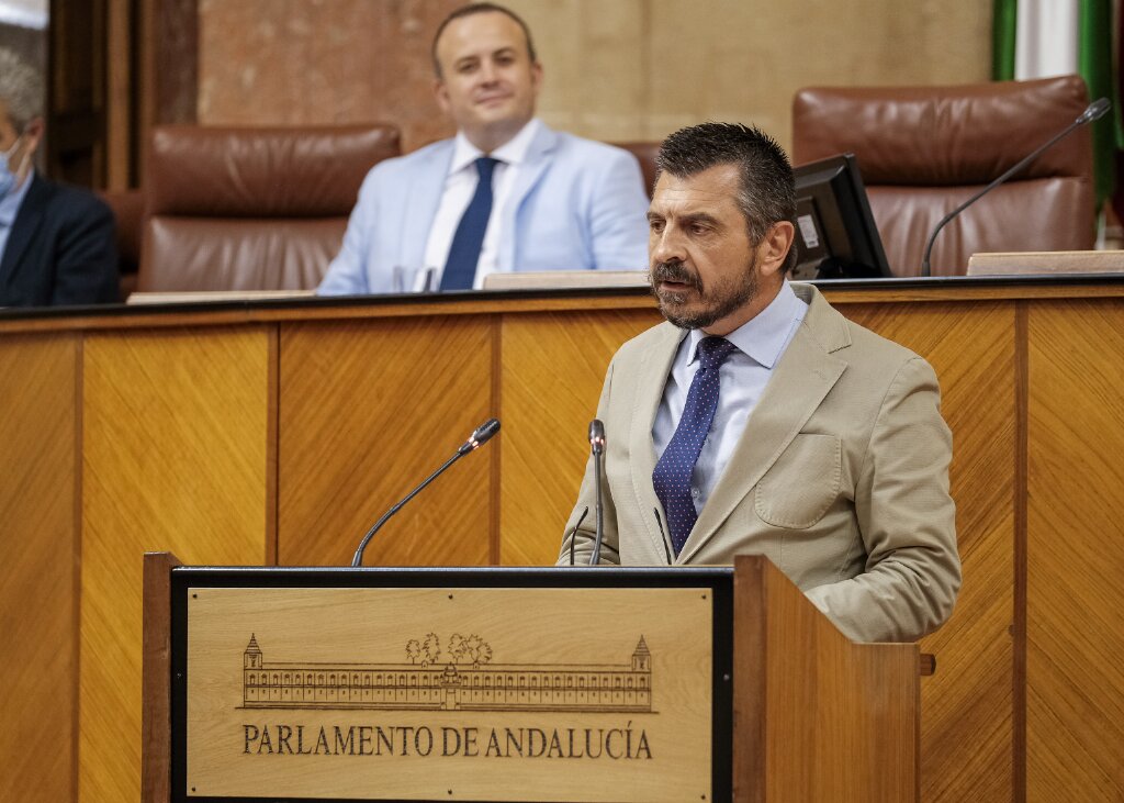 Por el Grupo Popular toma la palabra el diputado Antonio Martn 