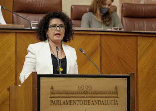        
Mara Isabel Mora, por el Grupo Adelante Andaluca, argumenta la toma en consideracin de una proposicin de ley (a tramitar ante la Mesa del Congreso de los Diputados), relativa a reforma de la Ley Orgnica 4/2000, de 11 de enero, sobre derechos y libertades de los extranjeros en Espaa 