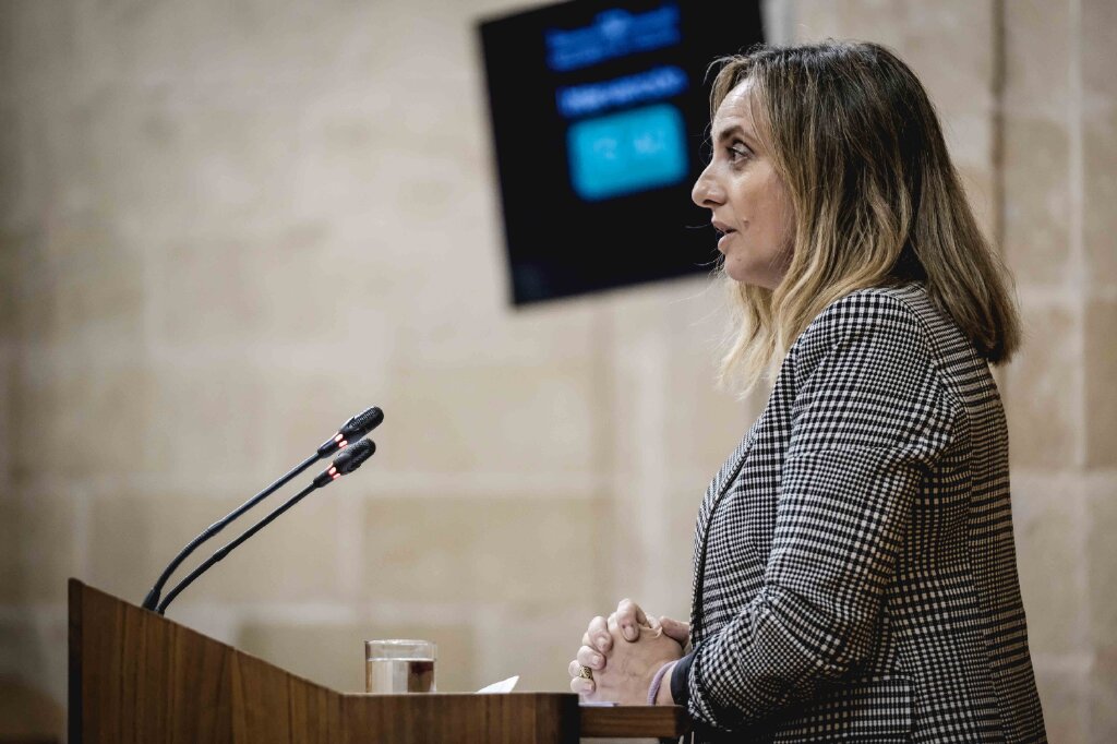  Mara Francisca Carazo, consejera de Fomento, Infraestructuras y Ordenacin del Territorio, interviene en la sesin plenaria