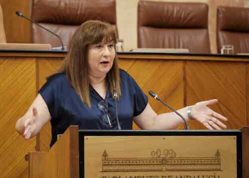  Mara Soledad Prez, en nombre del Grupo Socialista, defiende una mocin relativa a atencin a las personas en situacin de dependencia en Andaluca