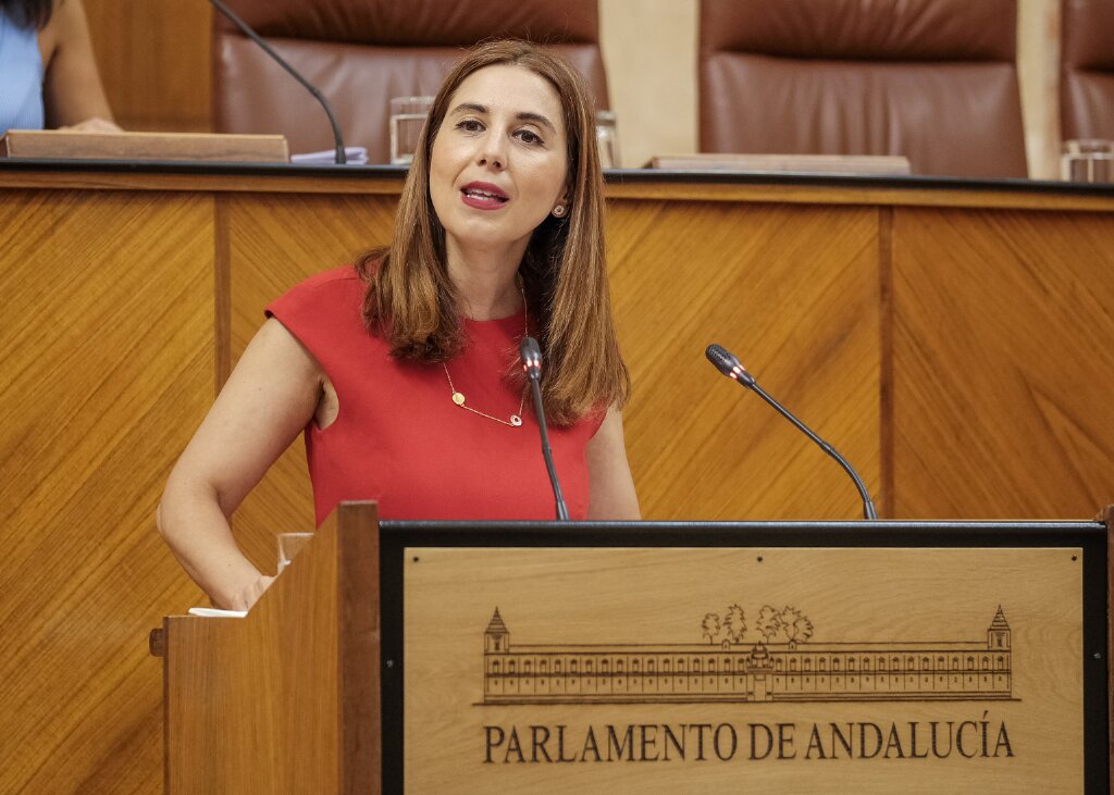  Beatriz Rubio, por el Grupo Socialista, presenta una interpelacin relativa a poltica general en materia de educacin y formacin profesional