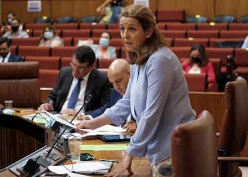 Mara Jos Piero, diputada del Grupo Vox, formula una pregunta en pleno 