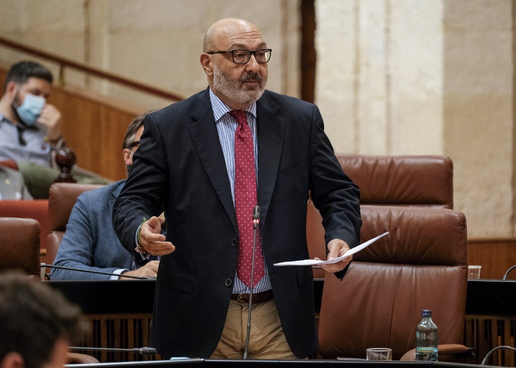 El portavoz del Grupo Vox Andaluca, Alejandro Hernndez, pregunta al presidente de la Junta sobre el Consejo Consultivo