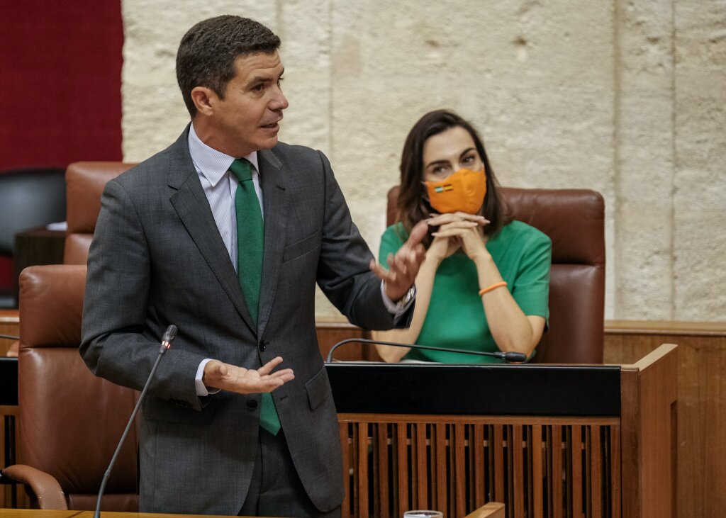El portavoz de Ciudadanos, Sergio Romero, formula su pregunta relativa a polticas sociales en Andaluca 
