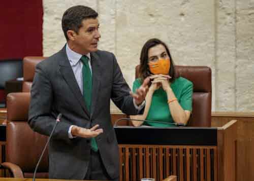 El portavoz de Ciudadanos, Sergio Romero, formula su pregunta relativa a polticas sociales en Andaluca 