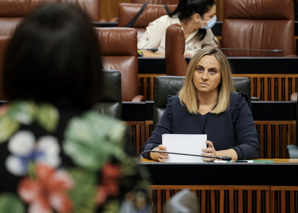 La consejera de Fomento, Mara Francisca Carazo, escucha atentamente la pregunta que le formulan 