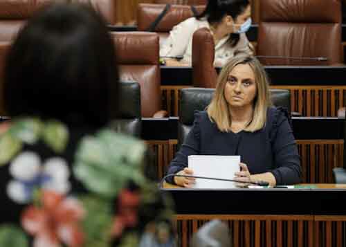 La consejera de Fomento, Mara Francisca Carazo, escucha atentamente la pregunta que le formulan 