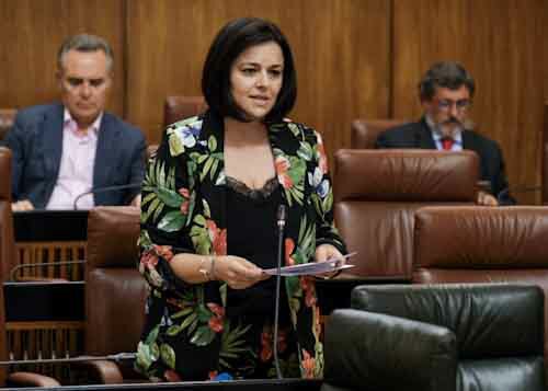Virginia Prez, del Grupo Popular, durante una de sus intervenciones