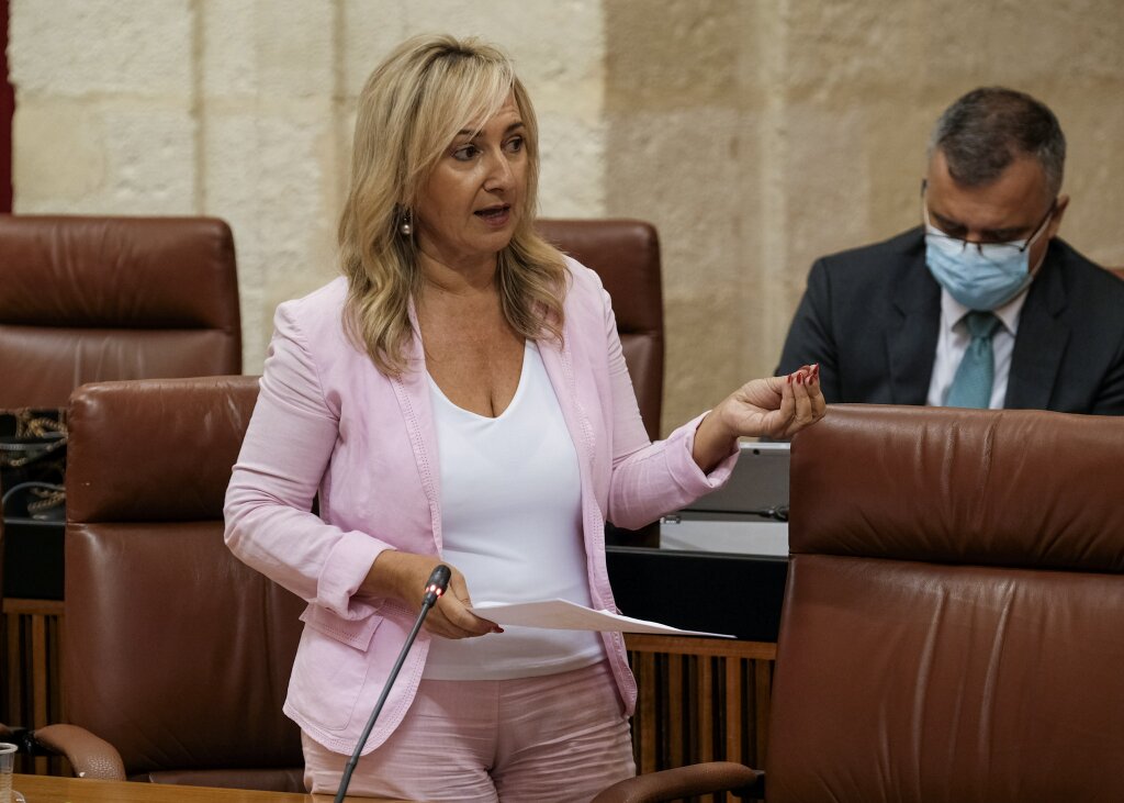 La diputada del Grupo Ciudadanos, Ana Mara Llopis, formula su pregunta 