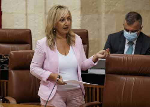 La diputada del Grupo Ciudadanos, Ana Mara Llopis, formula su pregunta 