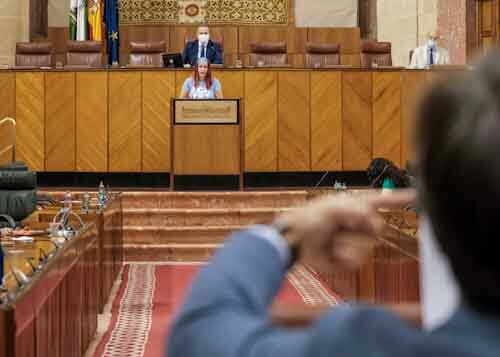 Plano de la intervencin de la diputada Luz Marina Dorado, de Adelante Andaluca, durante la defensa de la proposicin no de ley en pleno 