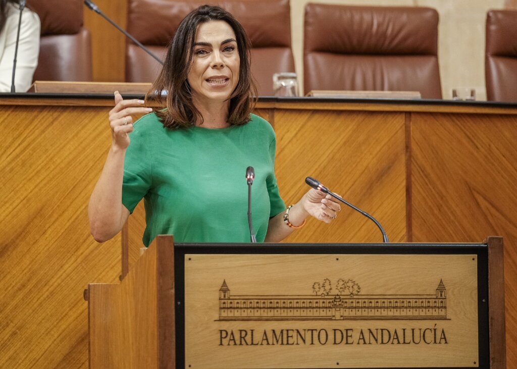   Teresa Pardo, del Grupo Ciudadanos, expone una proposicin no de ley relativa a mejora de la financiacin del Plan Concertado para el Desarrollo de Prestaciones Bsicas de Servicios Sociales en Corporaciones Locales 