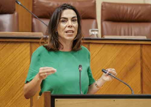   Teresa Pardo, del Grupo Ciudadanos, expone una proposicin no de ley relativa a mejora de la financiacin del Plan Concertado para el Desarrollo de Prestaciones Bsicas de Servicios Sociales en Corporaciones Locales 