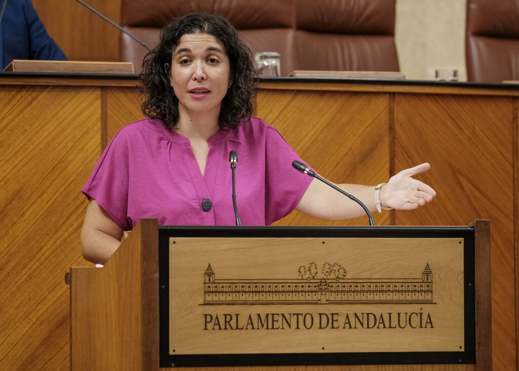 Por el Grupo Socialista, la diputada Noelia Ruiz defiende la proposicin no de ley relativa a medidas para la creacin y el mantenimiento del empleo en Andaluca ante la actual situacin de crisis sanitaria 