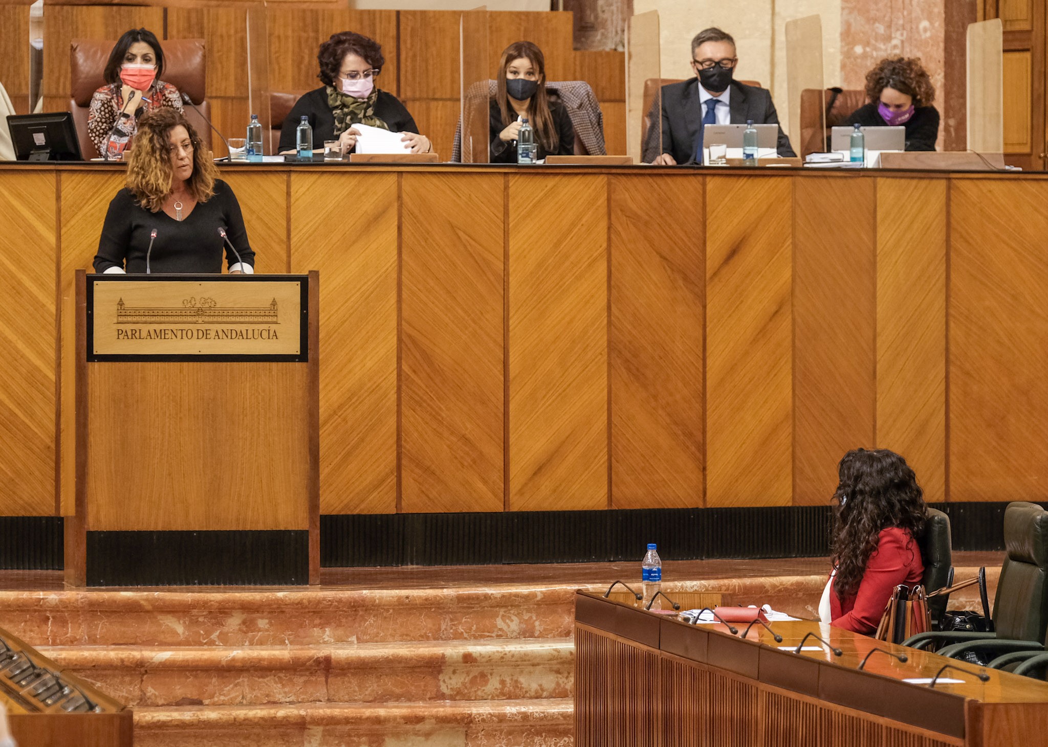    Mara del Mar Hormigo, de Ciudadanos, durante el debate de convalidacin del decreto de medidas en materia de servicios sociales