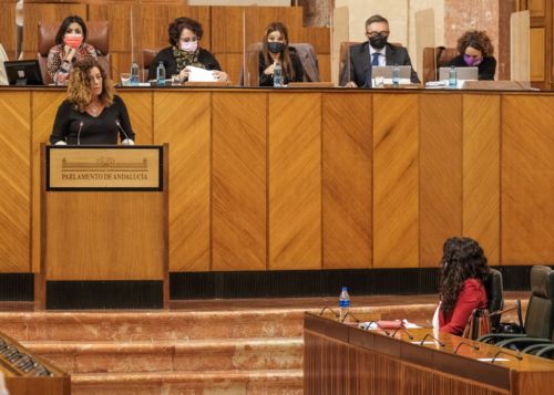    Mara del Mar Hormigo, de Ciudadanos, durante el debate de convalidacin del decreto de medidas en materia de servicios sociales