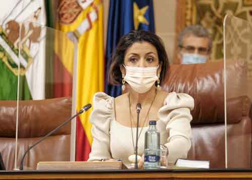 La presidenta del Parlamento de Andaluca, Marta Bosquet, da inicio a la sesin plenaria 