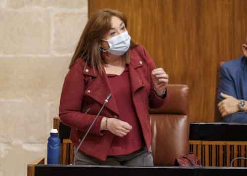 La parlamentaria socialista Mara Soledad Prez realiza una pregunta dirigida a la consejera de Igualdad 
