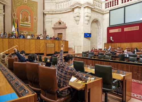      El Pleno del Parlamento de Andaluca durante una de las votaciones de la jornada 