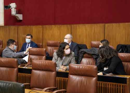  La bancada socialista minutos antes del pleno 