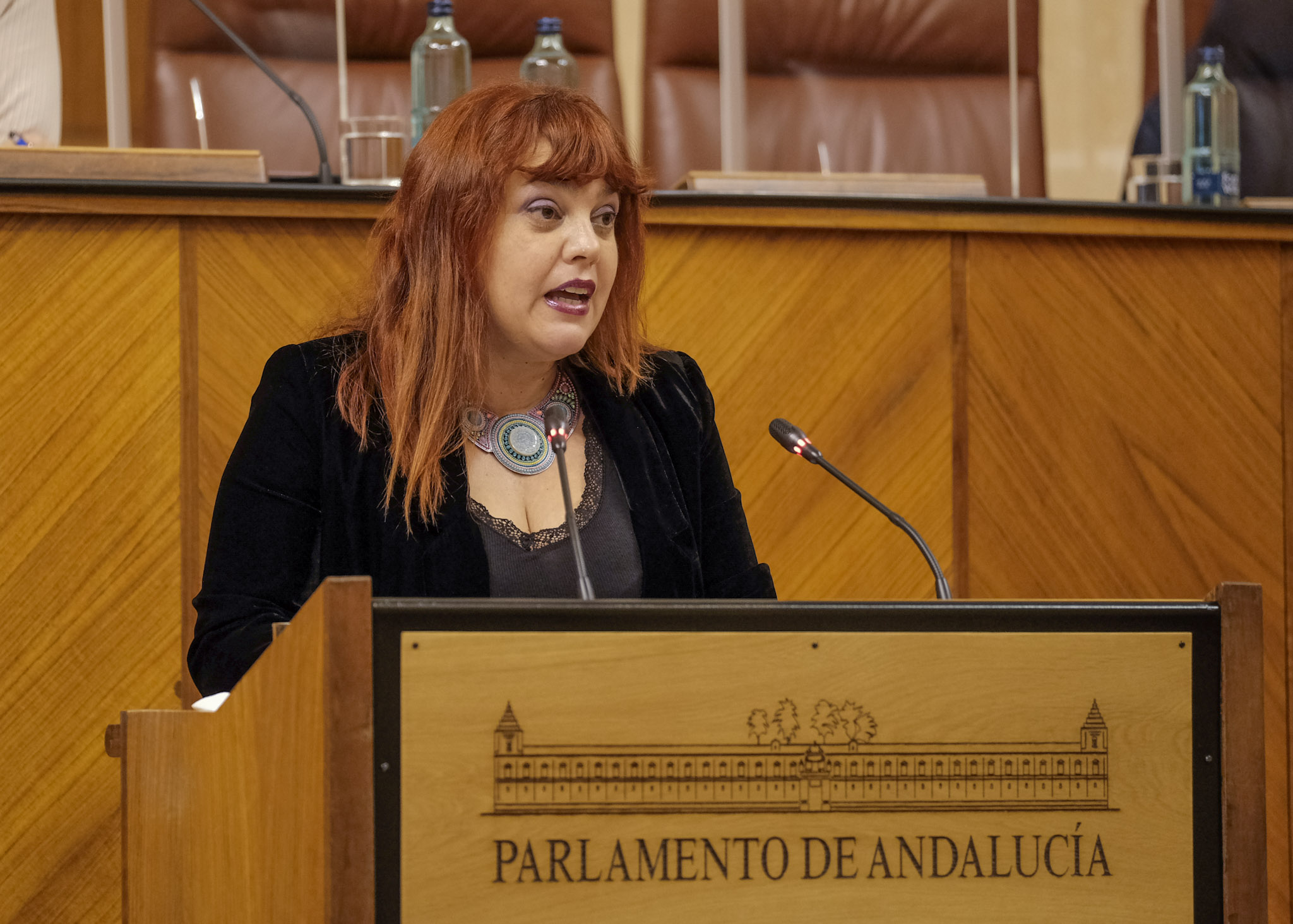 La diputada no adscrita Mara Vanessa Garca 