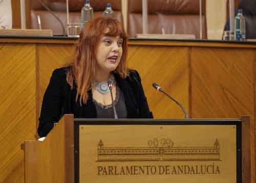 La diputada no adscrita Mara Vanessa Garca 