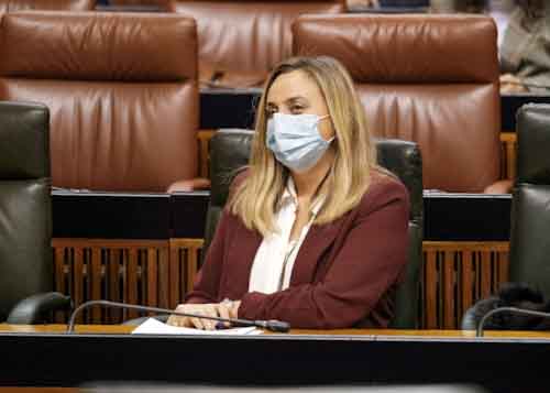  La consejera de Fomento, Infraestructura y Ordenacin del Territorio, Marifrn Carazo 