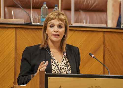 Mara Gracia Gonzlez, diputada no adscrita, durante su intervencin 