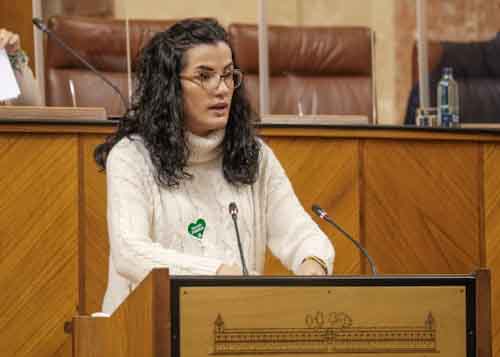 Por el Grupo Adelante Andaluca toma la palabra la diputada Carmen Barranco 