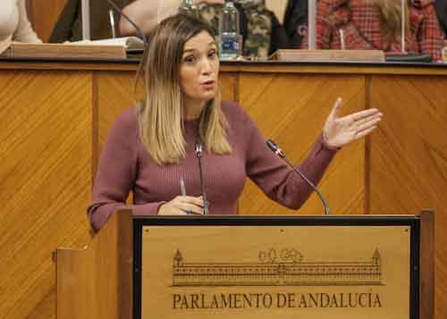 Por el Grupo Parlamentario Socialista toma la palabra la diputada Mara Mrquez  