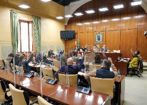   La Diputacin Permanente, durante una de las votaciones para acordar la celebracin de sesiones extraordinarias