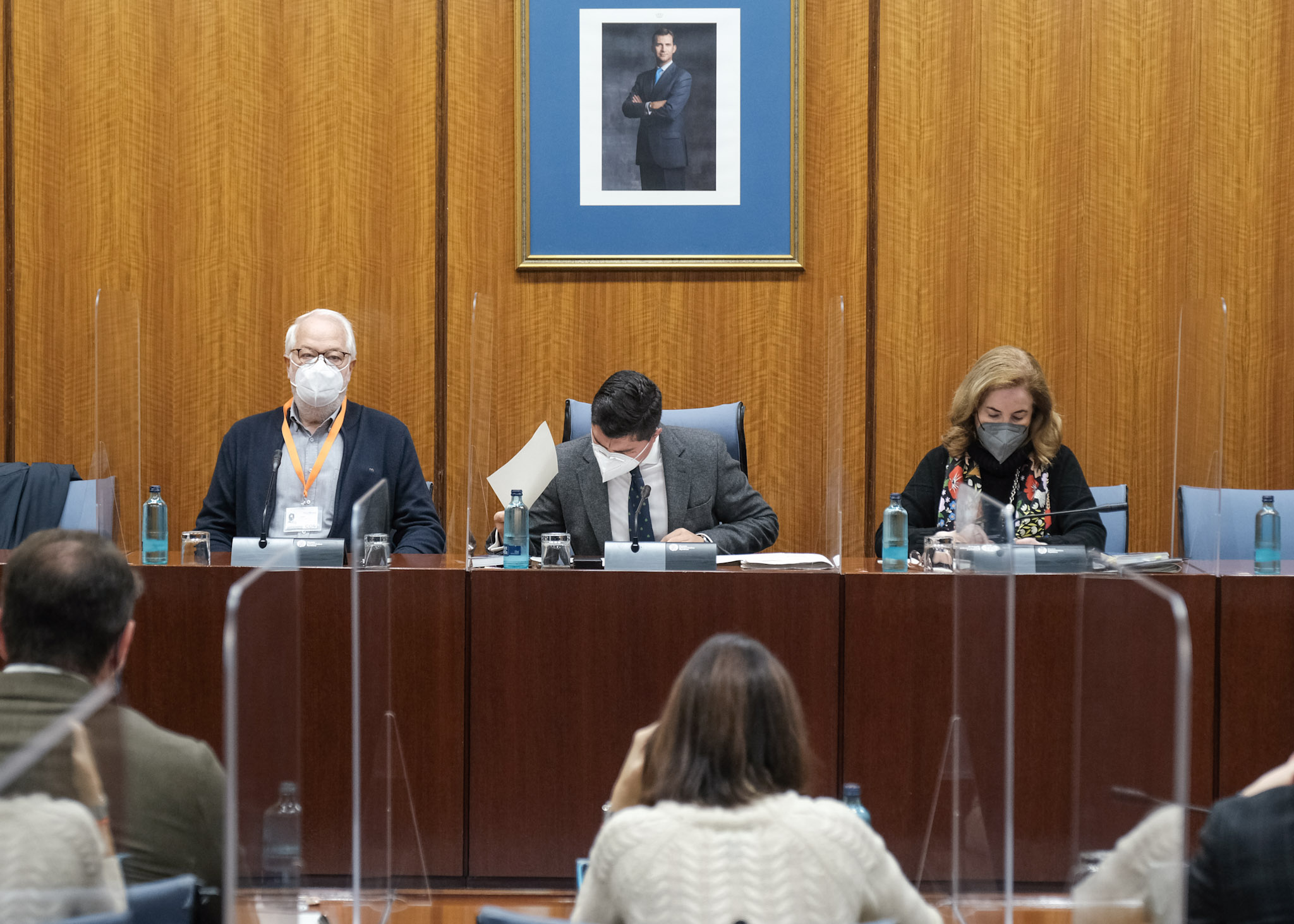  La Mesa de la Comisin de Investigacin FAFFE con el primer compareciente de la maana, Francisco Javier Aguado 
 